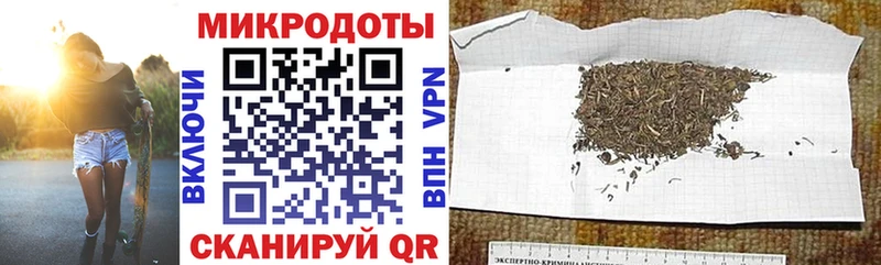 Галлюциногенные грибы Psilocybine cubensis Ворсма
